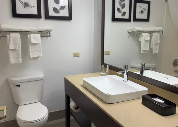 Country & By Radisson, Elgin, Il Отель 3*
