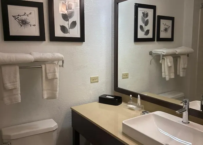 Отель Country & By Radisson, Elgin, Il 3*