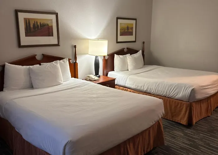 Country & By Radisson, Elgin, Il Hotel